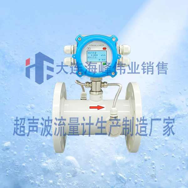 电池供电IP68型一体管段式超声波流量计