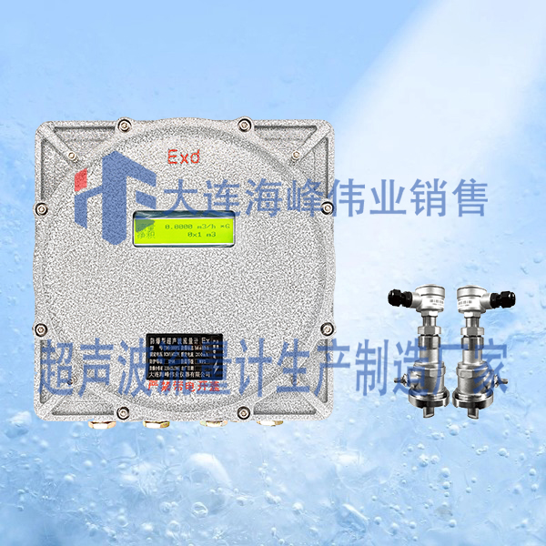 防爆CT6插入式超声波流量计