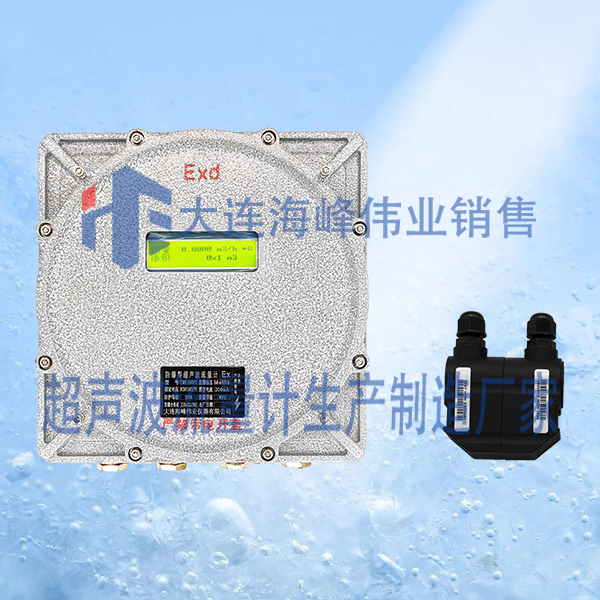 防爆CT6外夹式超声波流量计