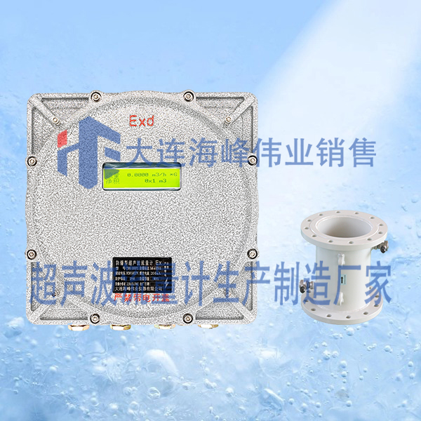 防爆CT6管段式超声波流量计