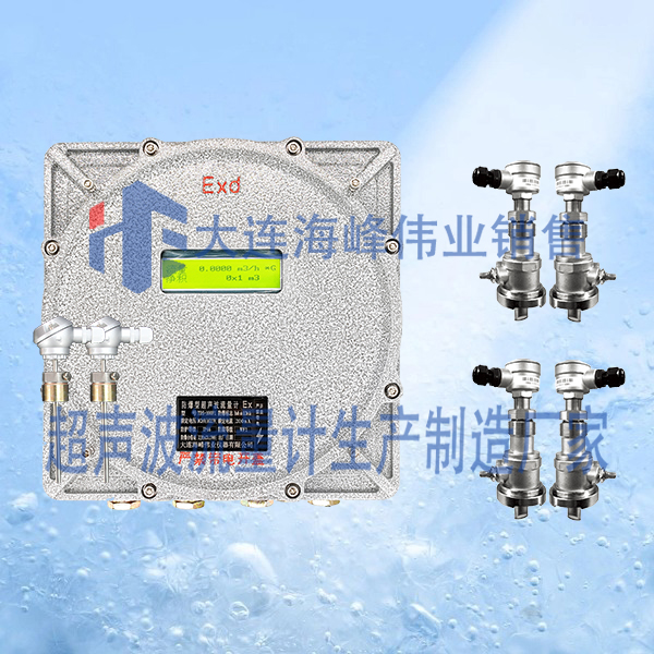 双声道防爆CT6超声波热量表插入式