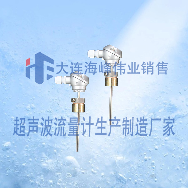 插入铂电阻